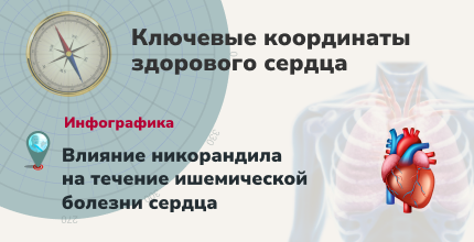 DD №4, 2026 год, в терапии