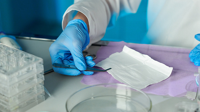 Новый патч для сложных ран быстрее останавливает кровотечение и защищает от супербактерий